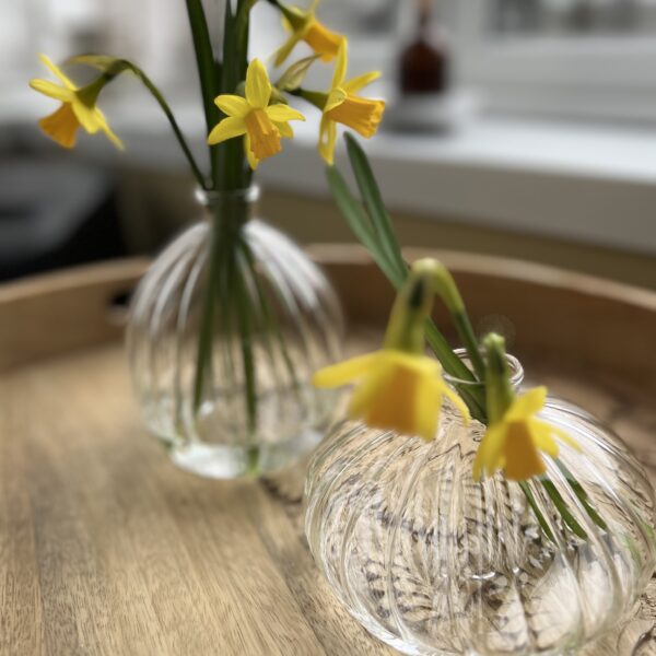 Glass Vase Clear Ribbed | Tall
