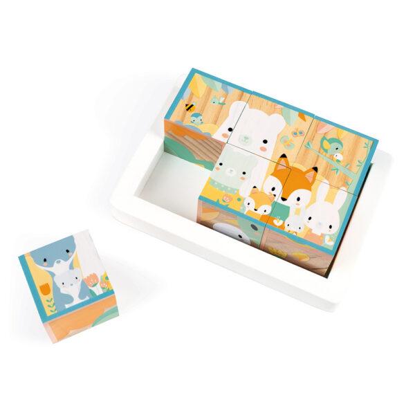 Wooden 6 Block Tray Puzzle