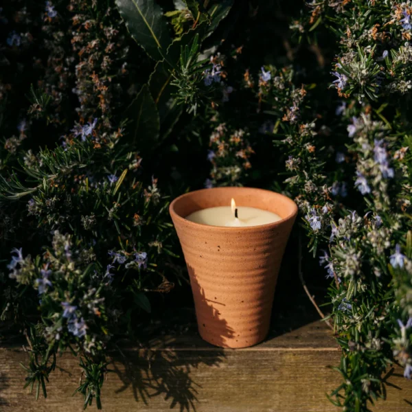 Bay & Rosemary Potager Pot