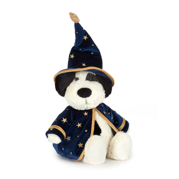 Rufferty Puppy | Wizard