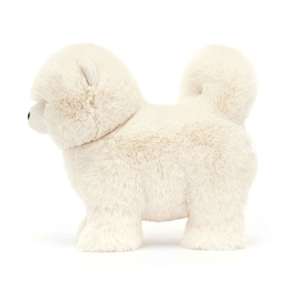 Daphne Pomeranian - Image 2