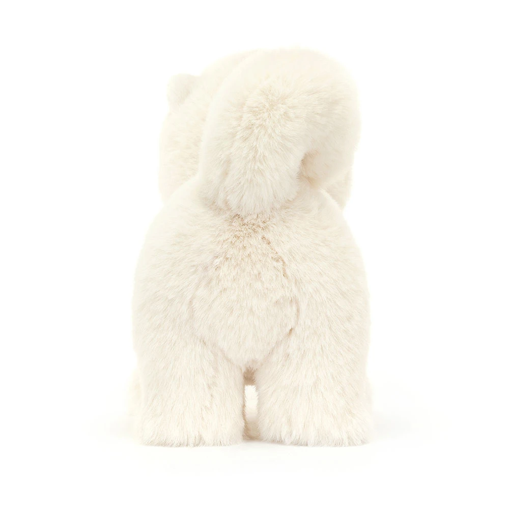 Daphne Pomeranian - Image 3